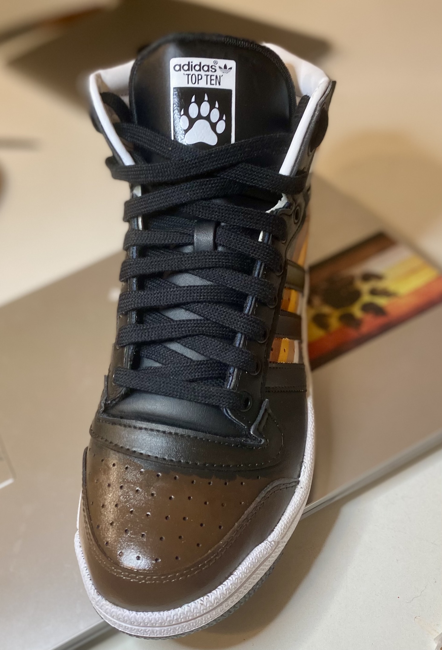 Adidas - Top Ten - Bear edition - Image 2
